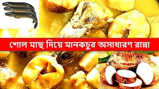 মান কচু দিয়ে শোল মাছের ঝোল এভাবে রান্না করলে স্বাদ মুখে লেগে থাকবে  Maan kochu diye sol macher jhol [upl. by Ellicott434]