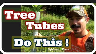 Tree Tubes for Seedlings Basics 🌳 [upl. by Selrahc]