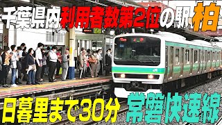 千葉県内【利用者数第２位の駅】★日暮里まで約30分の場所に位置するエリア★常磐線＃柏駅 の実態とは！ 千葉県柏市 ＃通勤ラッシュ [upl. by Elleron549]