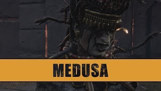 How to Find and Kill Medusa in Assassins Creed Odyssey Walkthorugh [upl. by Rutherfurd]