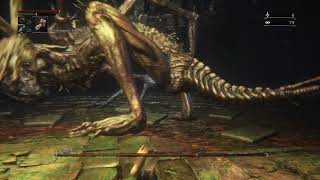 Bloodborne PC  How to Easy Kill Amygdala  No Hit  Shadps4  Full Fight Chalice Cursed Dungeon [upl. by Notnilk]