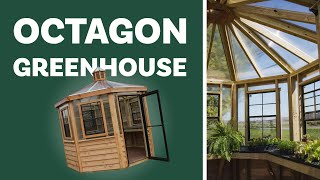 Octagon Greenhouse  NEW model [upl. by Ynez778]