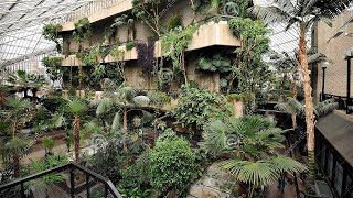 4K London Walk  Barbican Conservatory [upl. by Nwahsad69]