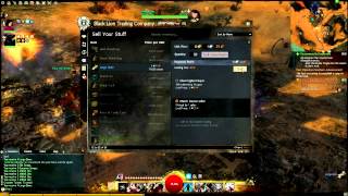 Guild Wars 2 Farming Guide  5g An Hour Level 80 [upl. by Rexer]