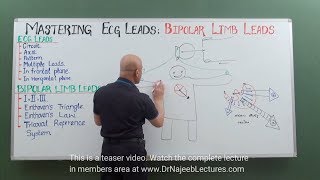 ECG  EKG Leads Bipolar Limb Leads  Electrocardiography  Cardiology🫀 [upl. by El]