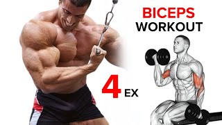 Best Biceps Exercises  Short Head  Long Head  Brachialis [upl. by Rather75]