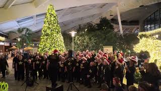 Carol Of The Bells by Rock Choir Wiltshire amp Somerset [upl. by Polloch638]