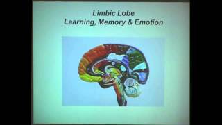 The Neuroscience of Learning and Memory [upl. by Lupe64]