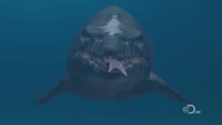 TRex of the Deep  Mosasaur Documentary [upl. by Ancier]