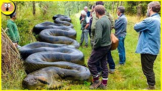 10 Découvertes Étranges Trouvées dans la Forêt Amazonienne [upl. by Enilav]