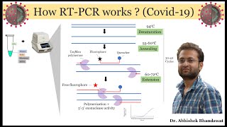 All about realtime PCR qRTPCR How it works Made Easy [upl. by Lednyk]