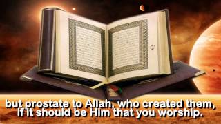 Surah No 41  Surah Fussilat  By Sheikh Abdur Rahman As Sudais [upl. by Avilo]