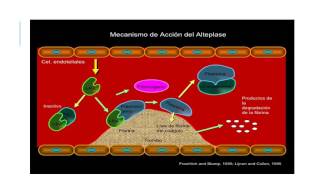 Anticoagulantes y Trombolíticos mecanismo de acción [upl. by Macdonell]