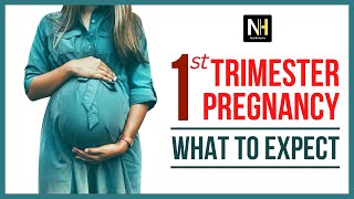 First Trimester Pregnancy What to Expect Essential Tips amp Insights [upl. by Yekim91]