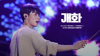 241005 경춘선숲길 가을음악회 개화  루시LUCY ｜ 신예찬 직캠 YECHAN FOCUS [upl. by Nujra466]