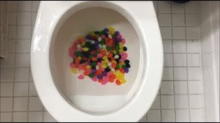 Will it Flush  Jelly Beans [upl. by Julianna764]