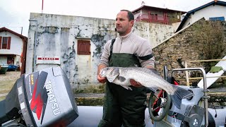 Pêche à la palangre au Pays Basque [upl. by Yzzik]