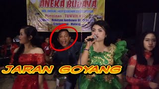 Jaran Goyang  Elektone Dangdut Koplo [upl. by Gemmell]