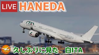 🔴LIVE at TOKYO HANEDA International Airport Plane Spotting 20240124 羽田空港ライブカメラ 羽田空港 HNDRJTT [upl. by Jamil425]