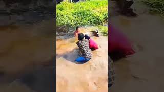 Detikdetik penangkapan buaya di Riau Hatihati saat memancing shorts buaya riau 002 [upl. by Thorr]