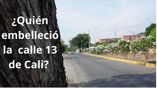 ¿por qué la calle 13 de Cali esta llena de flores [upl. by Olympie391]