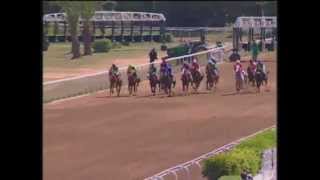 4e course  Championnat du Monde de Son Altesse Sheikha Fatima Bint Mubarak  PS arabes  2000 m [upl. by Barney]