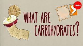 How do carbohydrates impact your health  Richard J Wood [upl. by Henrietta131]