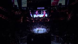 Tom Aspinall Vs Sergei Pavlovich  Full Fight Live MSG Reaction ufc295 [upl. by Osborn]