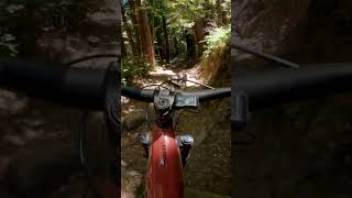 EBike Showdown Santa Cruz Heckler vs Bullit Trail Test [upl. by Eenrahc447]