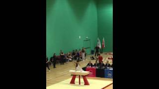 Max Whitlock Pommel Horse SEGC 16300 720 SV [upl. by Vitek343]