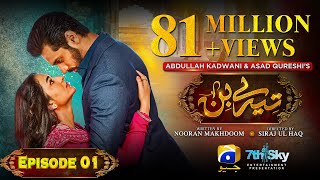 Tere Bin Episode 01  Eng Sub  Yumna Zaidi  Wahaj Ali  28th December 2022  HAR PAL GEO [upl. by Oflodor]