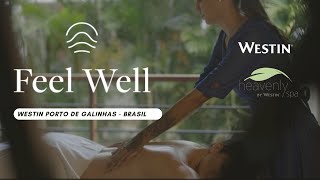 PILARES DO BEMESTAR WESTIN  FEEL WELL SINTASE BEM [upl. by Kapoor858]