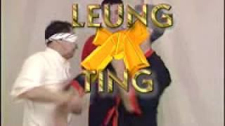 Wing Tsun Wrong or Right By Leung Ting [upl. by Okihsoy]