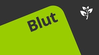 Das Blut  Übersicht  Biologie  Humanbiologie [upl. by Nefets]