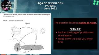 quotPowerful Revision AQA Biology Paper 1 Revealedquot Higher Tier Jun22 [upl. by Alfy]