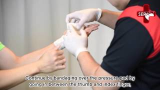 Wound Management Home Skills Program Dressings and Bandaging [upl. by Weitzman311]