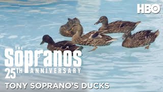 Tony Soprano’s Ducks In The Swimming Pool ASMR  The Sopranos 25th Anniversary  HBO [upl. by Zeke31]