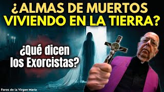 ¡Exorcistas Descubren Almas de Muertos en la Tierra No son del Cielo ni el Purgatorio ¿Quiénes son [upl. by Llerehs]