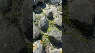 Kosterhavet Nationalpark Sweden Part 2 sea nature summer [upl. by Elana]