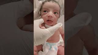 Only for new borns viralvideo littleprince newbornbaby mylittleprince [upl. by Finnigan]