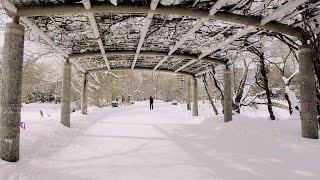 Walking in the Beautiful Deep Snowy Park Sapporo Hokkaido JAPAN  4K ASMR  Snowscape Ambience Snow [upl. by Diao648]