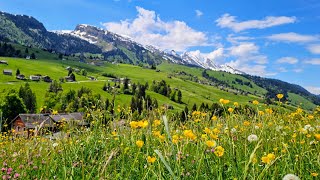 Bergfrühling im Toggenburg 🇨🇭 [upl. by Sible]