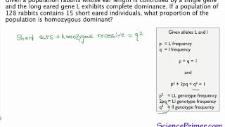 Calculation of HardyWeinberg genotype frequencies [upl. by Evalyn279]