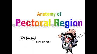 Anatomy of the Pectoral Region  Dr Yusuf [upl. by Enej]