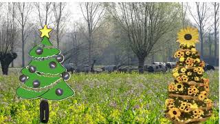 2 KERSTBOMEN VIDEO [upl. by Annaeoj]