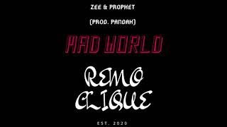 ZEE amp PROPHET  MAD WORLD Beefi Chopped 3357hz [upl. by Lauhsoj]