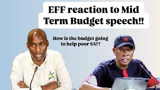 EFF reaction to Mid Term budget 2024  is the Budget going to create job opportunities [upl. by Ergener]