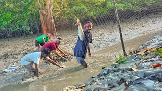 এই প্রথমবার সুন্দরবন জঙ্গলেখাল পাটা দিয়ে মাছ ধরলাম🐟 [upl. by Mccoy278]