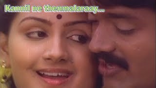 Kannil ne thenmalaraay  Muthodu Muthu Malayalam Movie Song  Sankar  Menaka [upl. by Delfine]