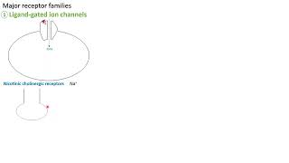 Ligandgated ion channel receptors  in Arabic  بالعربي [upl. by Etnohs]